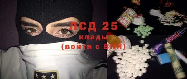 прущие грибы Пролетарск