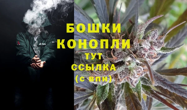 прущие грибы Пролетарск