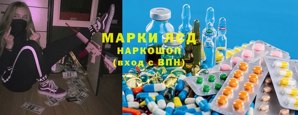 прущие грибы Пролетарск