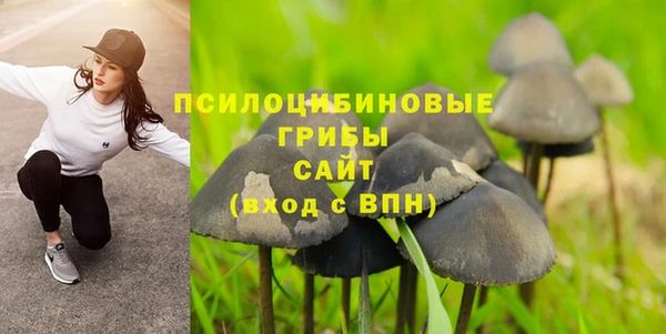 дживик Приозерск