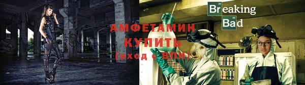 прущие грибы Пролетарск