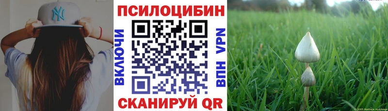Галлюциногенные грибы мицелий  Свободный 