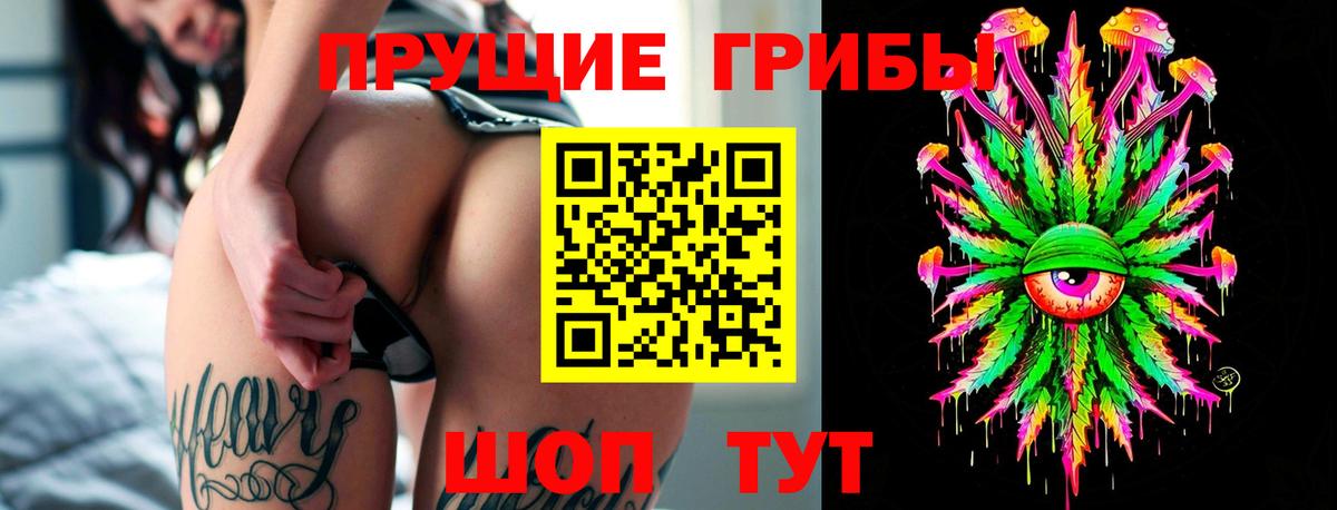 Галлюциногенные грибы Psilocybe Свободный