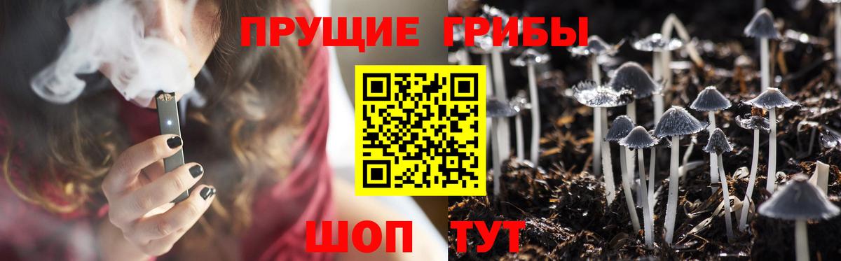 Галлюциногенные грибы MAGIC MUSHROOMS  наркота  Свободный  Вход с VPN  Псилоцибиновые грибы ЛСД 