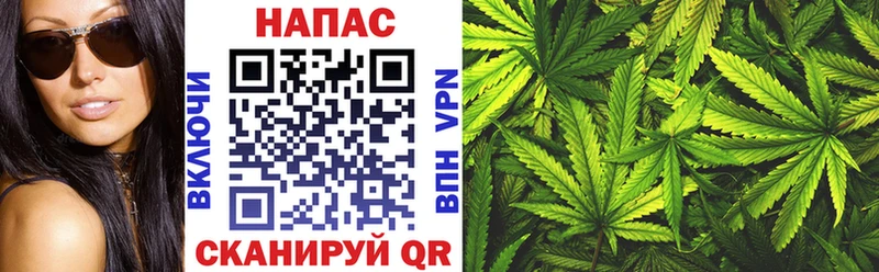 где продают   Свободный  Канабис конопля 
